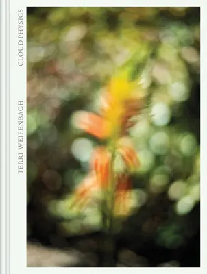 Terri Weifenbach: Fizyka chmur - Terri Weifenbach: Cloud Physics