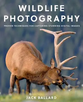 Fotografia dzikiej przyrody: Sprawdzone techniki robienia oszałamiających zdjęć cyfrowych - Wildlife Photography: Proven Techniques for Capturing Stunning Digital Images