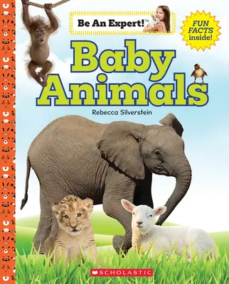 Małe zwierzęta (zostań ekspertem!) - Baby Animals (Be an Expert!)