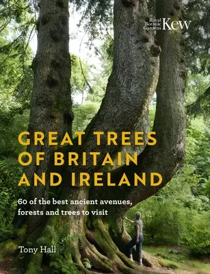 Great Trees of Britain and Ireland: 60 najlepszych starożytnych alei, lasów i drzew do odwiedzenia - Great Trees of Britain and Ireland: 60 of the Best Ancient Avenues, Forests and Trees to Visit