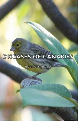 Choroby kanarków - Diseases of Canaries