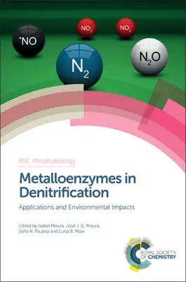 Metaloenzymy w denitryfikacji: Zastosowania i wpływ na środowisko - Metalloenzymes in Denitrification: Applications and Environmental Impacts