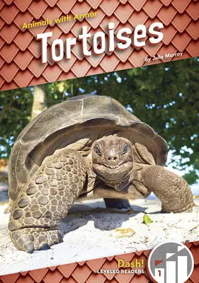 Żółwie - Tortoises