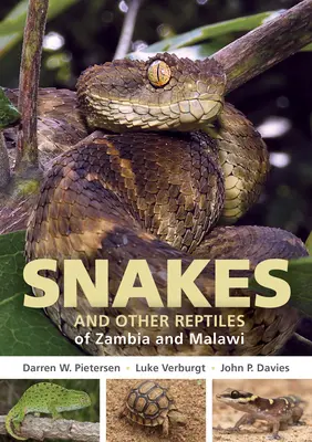 Przewodnik terenowy po wężach i innych gadach Zambii i Malawi - Field Guide to Snakes and Other Reptiles of Zambia and Malawi