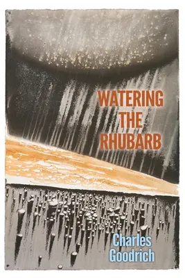 Podlewanie rabarbaru - Watering the Rhubarb