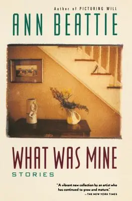 Co było moje: i inne historie - What Was Mine: & Other Stories