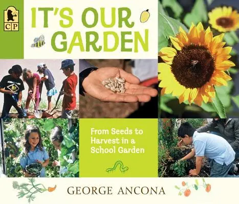 To nasz ogród: Od nasion do zbiorów w szkolnym ogrodzie - It's Our Garden: From Seeds to Harvest in a School Garden