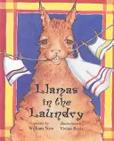 Lamy w pralni - Llamas in the Laundry