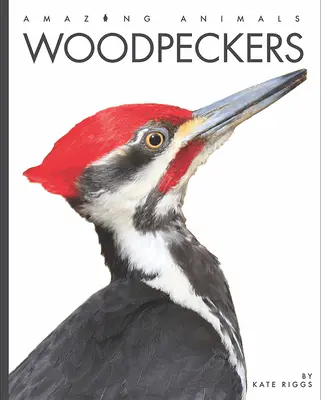 Dzięcioły - Woodpeckers