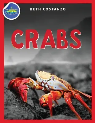 Krab Zeszyt ćwiczeń dla dzieci w wieku 4-8 lat - Crab Activity Workbook for Kids ages 4-8