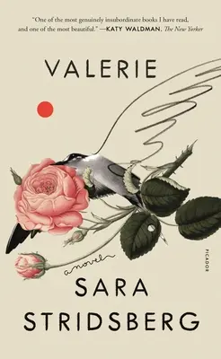 Valerie: Or, the Faculty of Dreams: Powieść - Valerie: Or, the Faculty of Dreams: A Novel