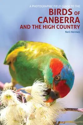 Fotograficzny przewodnik terenowy po ptakach Canberry i High Country - A Photographic Field Guide to the Birds of Canberra and the High Country