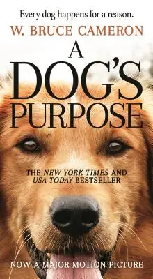 Psi cel: powieść dla ludzi - A Dog's Purpose: A Novel for Humans