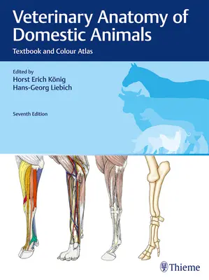 Anatomia weterynaryjna zwierząt domowych: Podręcznik i kolorowy atlas - Veterinary Anatomy of Domestic Animals: Textbook and Colour Atlas