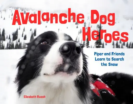 Psi bohaterowie lawin: Piper i przyjaciele uczą się przeszukiwać śnieg - Avalanche Dog Heroes: Piper and Friends Learn to Search the Snow