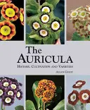 Auricula: historia, uprawa i odmiany - Auricula: History, Cultivation and Varieties