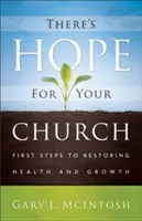 Jest nadzieja dla twojego kościoła: Pierwsze kroki do przywrócenia zdrowia i wzrostu - There's Hope for Your Church: First Steps to Restoring Health and Growth