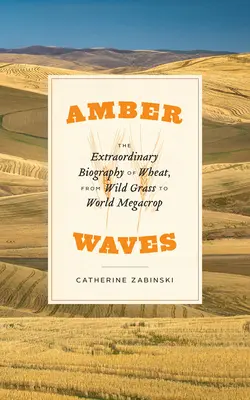Amber Waves: Niezwykła biografia pszenicy, od dzikiej trawy do światowej megakropli - Amber Waves: The Extraordinary Biography of Wheat, from Wild Grass to World Megacrop
