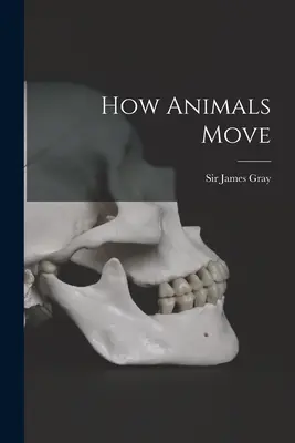 Jak poruszają się zwierzęta - How Animals Move
