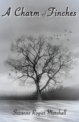 Urok zięb - A Charm of Finches