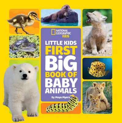 Pierwsza wielka księga małych zwierząt dla małych dzieci - Little Kids First Big Book of Baby Animals