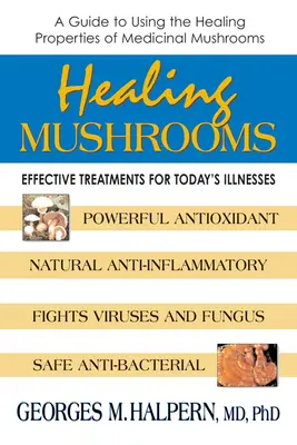 Grzyby lecznicze - skuteczne metody leczenia dzisiejszych chorób - Healing Mushrooms - Effective Treatments for Today's Illnesses