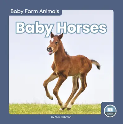 Małe konie - Baby Horses