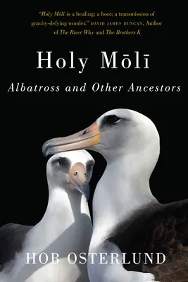 Holy Moli: Albatros i inni przodkowie - Holy Moli: Albatross and Other Ancestors