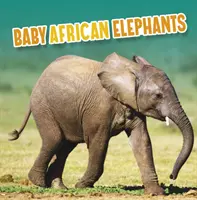 Małe słonie afrykańskie - Baby African Elephants