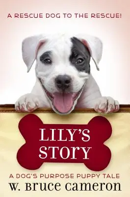 Historia Lily: Historia szczeniaka - Lily's Story: A Puppy Tale