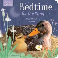 Dobranoc dla kaczątka - Bedtime for Duckling