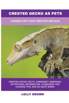 Gekon czubaty jako zwierzę domowe: Opieka nad gekonem czubatym - Crested Gecko as Pets: Caring For Your Crested Geckos