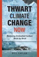 Thwart Climate Change Now - Redukcja emisji dwutlenku węgla cegła po cegle - Thwart Climate Change Now - Reducing Embodied Carbon Brick by Brick