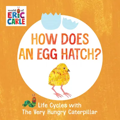 Jak wykluwa się jajko? Cykle życia z bardzo głodną gąsienicą - How Does an Egg Hatch?: Life Cycles with the Very Hungry Caterpillar