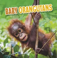 Małe orangutany - Baby Orangutans