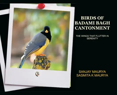 Ptaki kantonu Badami Bagh - Birds of Badami Bagh Cantonment