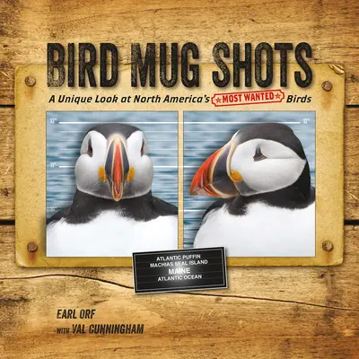 Bird Mug Shots: Unikalne spojrzenie na najbardziej poszukiwane ptaki Ameryki Północnej - Bird Mug Shots: A Unique Look at North America's Most Wanted Birds