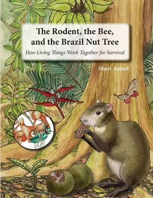 Gryzoń, pszczoła i orzech brazylijski: jak żywe istoty współpracują, by przetrwać - The Rodent, the Bee, and the Brazil Nut Tree: How Living Things Work Together for Survival