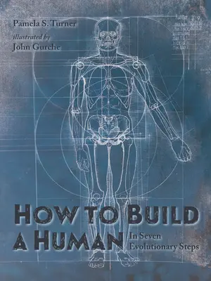 Jak zbudować człowieka: w siedmiu ewolucyjnych krokach - How to Build a Human: In Seven Evolutionary Steps