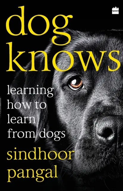 Pies wie: jak uczyć się od psów - Dog Knows: Learning How to Learn from Dogs