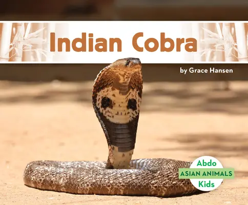 Kobra indyjska - Indian Cobra