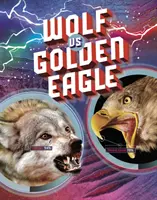 Wilk kontra orzeł przedni - Wolf vs Golden Eagle