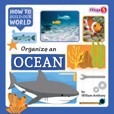 Zorganizuj ocean - Organize an Ocean