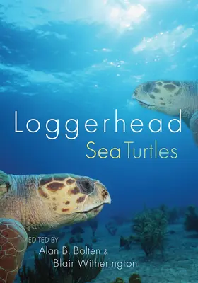 Żółwie morskie Loggerhead - Loggerhead Sea Turtles