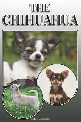 Chihuahua: A Complete and Comprehensive Owners Guide To: Kupno, Posiadanie, Zdrowie, Pielęgnacja, Szkolenie, Posłuszeństwo, Zrozumienie oraz - The Chihuahua: A Complete and Comprehensive Owners Guide To: Buying, Owning, Health, Grooming, Training, Obedience, Understanding and