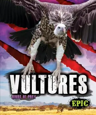 Sępy - Vultures