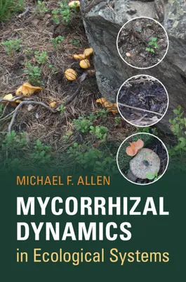 Dynamika mikoryzy w systemach ekologicznych - Mycorrhizal Dynamics in Ecological Systems