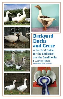 Podwórkowe kaczki i gęsi: Praktyczny przewodnik dla entuzjastów i drobnych hodowców - Backyard Ducks and Geese: A Practical Guide for the Enthusiast and the Smallholder