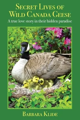 Sekretne życie dzikich gęsi kanadyjskich: Prawdziwa historia miłosna w ich ukrytym raju - Secret Lives of Wild Canada Geese: A true love story in their hidden paradise