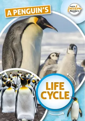 Cykl życia pingwina - Penguin's Life Cycle